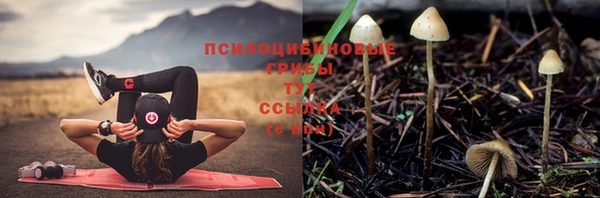 хмурый Пересвет