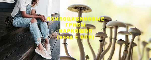 прущие грибы Воткинск