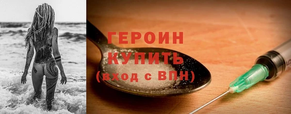 хмурый Пересвет