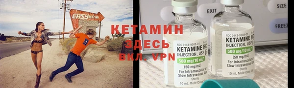 хмурый Пересвет