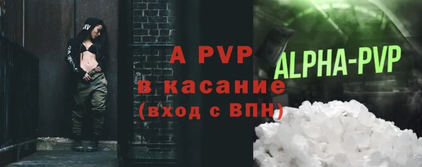 хмурый Пересвет