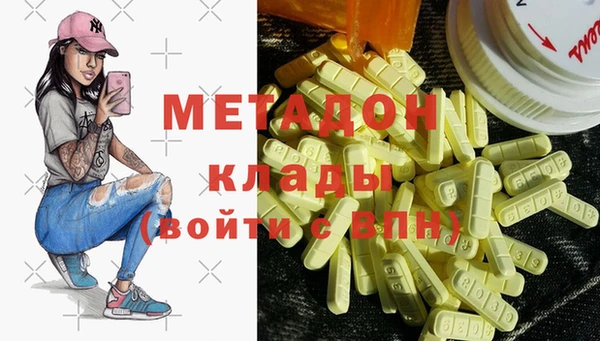 хмурый Пересвет