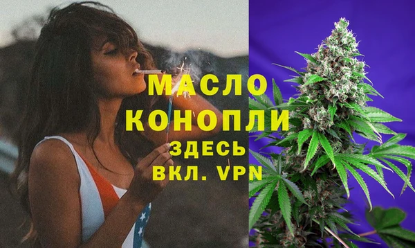 хмурый Пересвет