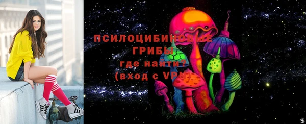 хмурый Пересвет