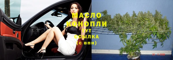 хмурый Пересвет