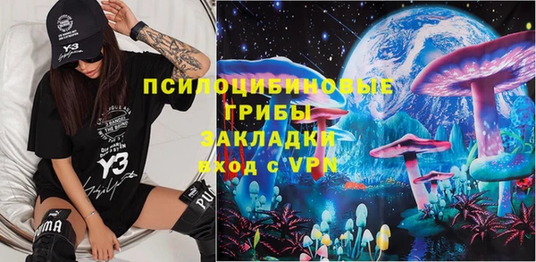 хмурый Пересвет