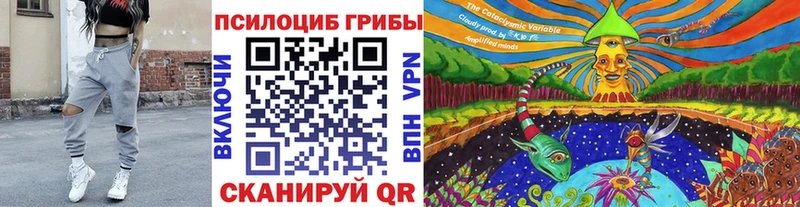 Псилоцибиновые грибы мухоморы hydra ONION Тайга закладка