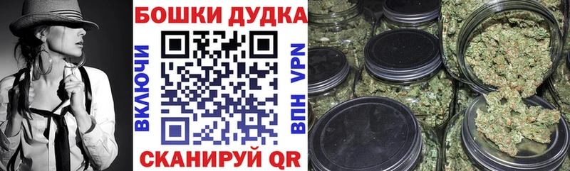 купить наркотики цена  Тайга  Бошки марихуана гибрид 